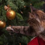 Gør juletræet til et kunstværk med håndlavede julepynt