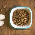Den komplette guide til forskellige typer hundefoder og hvordan det påvirker din hund